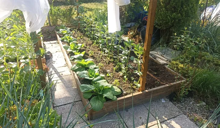 Działka rod Szczecin Bukowo, ul. Władysława Nehringa