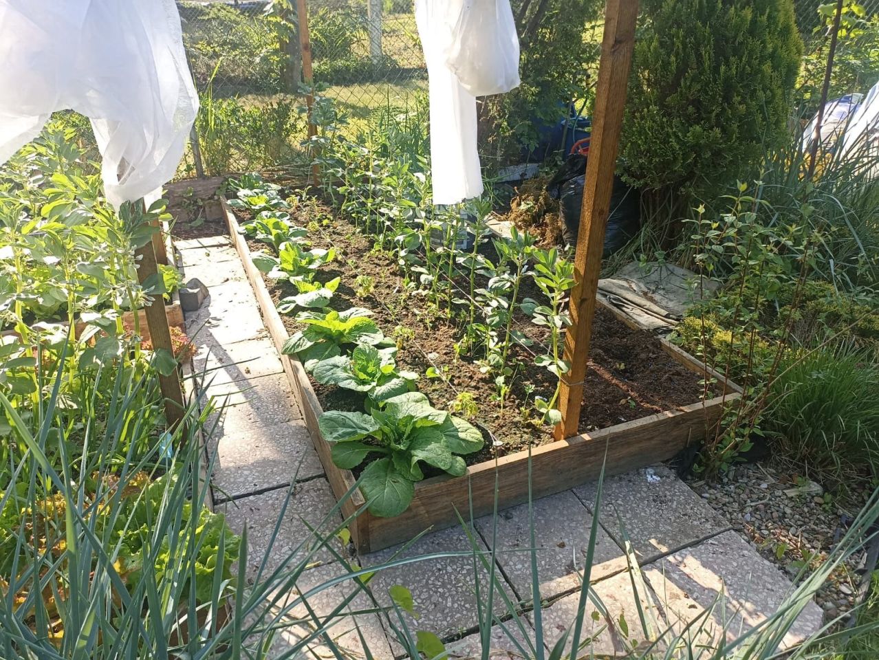 Działka rod Szczecin Bukowo, ul. Władysława Nehringa. Zdjęcie 1