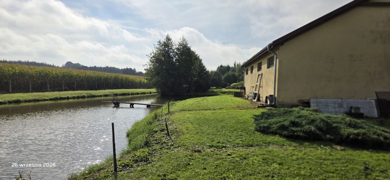 Działka siedliskowa Buczyniec. Zdjęcie 8