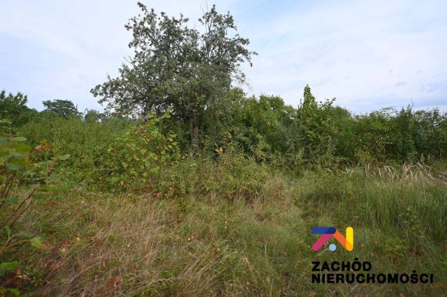 dom wolnostojący, 3 pokoje Tuchola Żarska. Zdjęcie 5