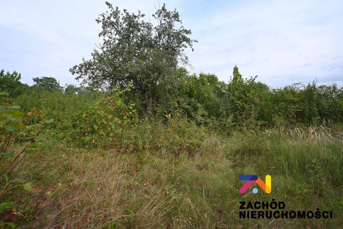 dom wolnostojący, 3 pokoje Tuchola Żarska. Zdjęcie 5