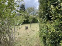 Działka rod Gdańsk Morena, ul. Wołkowyska. Zdjęcie 2