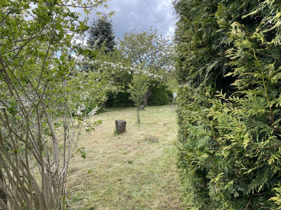 Działka rod Gdańsk Morena, ul. Wołkowyska. Zdjęcie 3