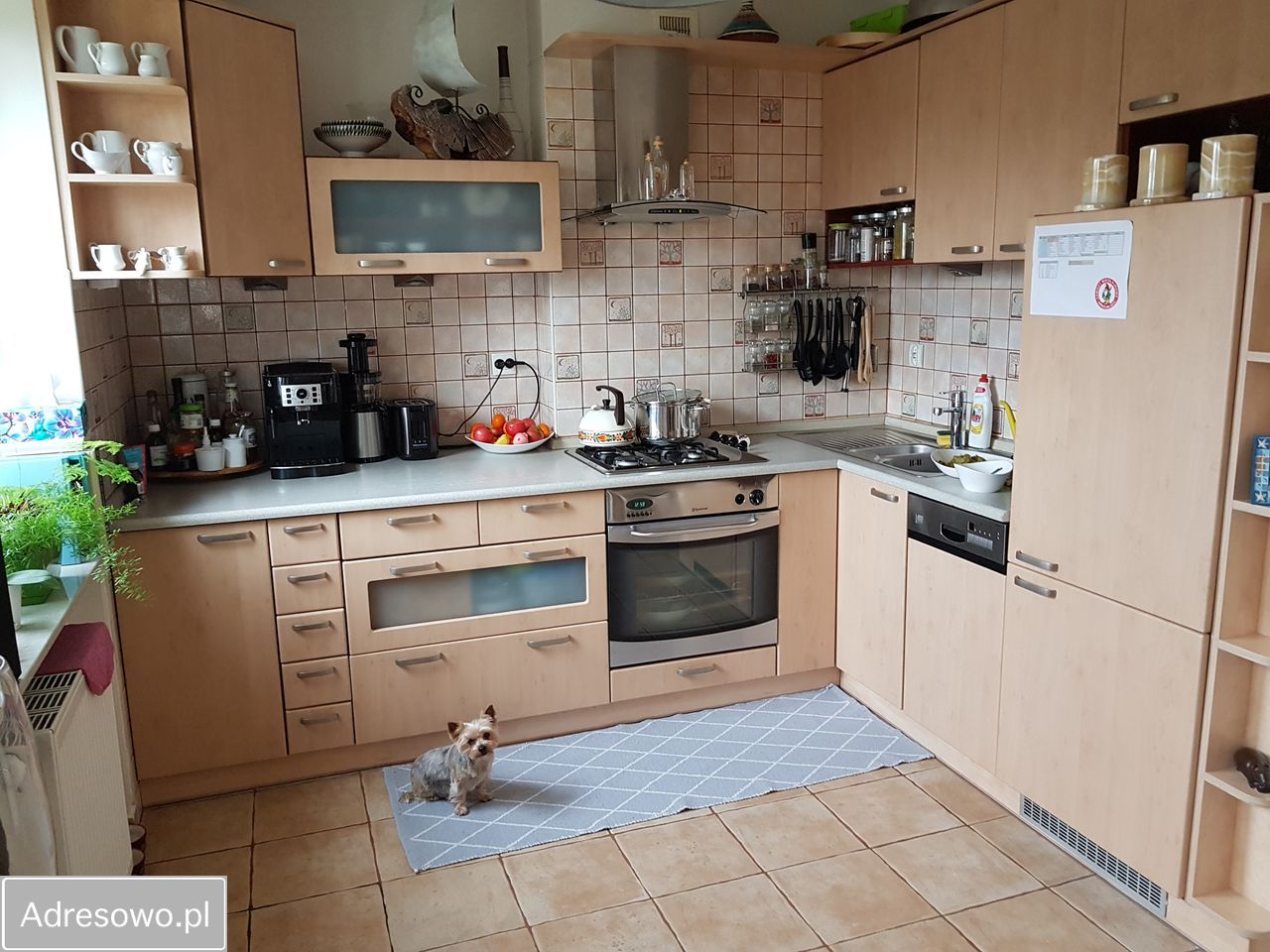 bliźniak, 5 pokoi Kiełczów, ul. Letnia. Zdjęcie 14