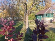 Działka rod Wrocław Fabryczna, ul. Bystrzycka. Zdjęcie 2