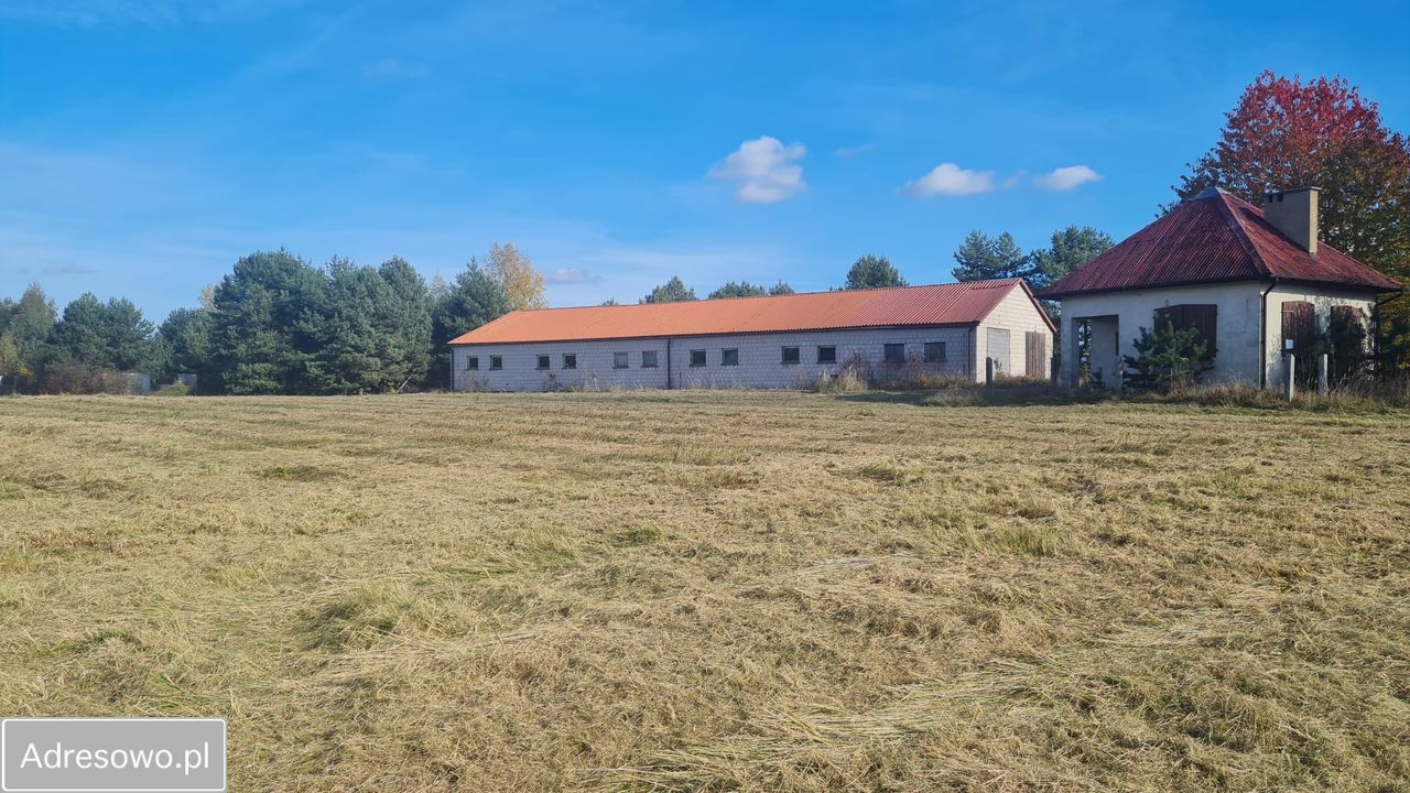 Działka budowlana Choroń. Zdjęcie 12