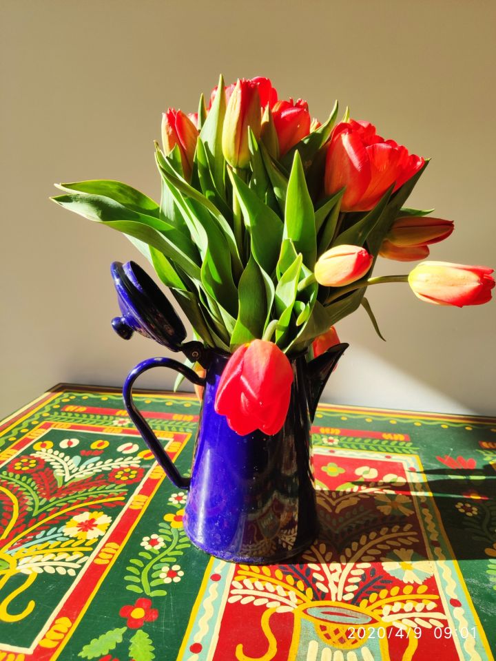 dom wolnostojący, 5 pokoi Kraków Nowa Huta, ul. Klasztorna. Zdjęcie 19