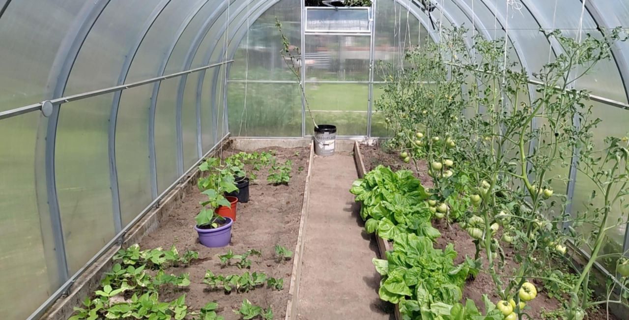 Działka rod Grochowiska. Zdjęcie 14