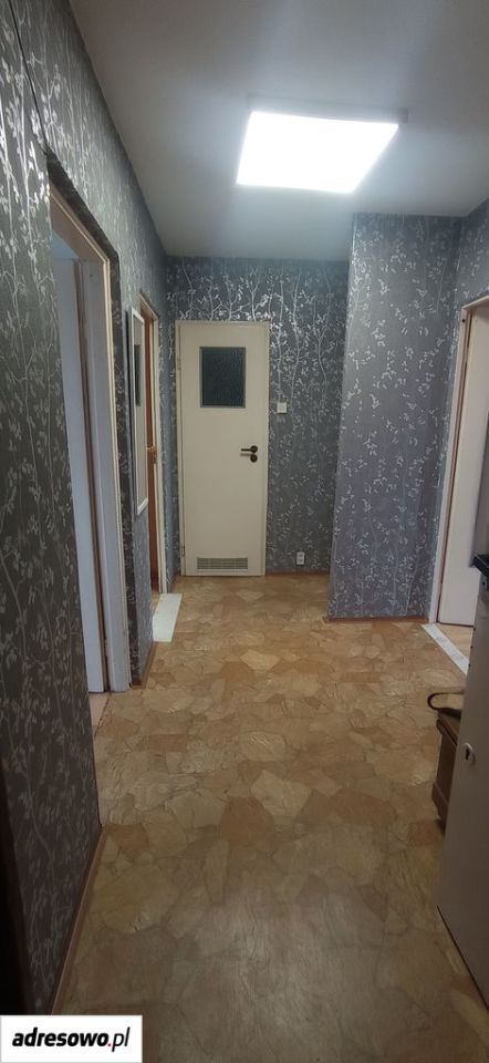 Mieszkanie 3-pokojowe Wrocław Gaj, ul. Orzechowa. Zdjęcie 3