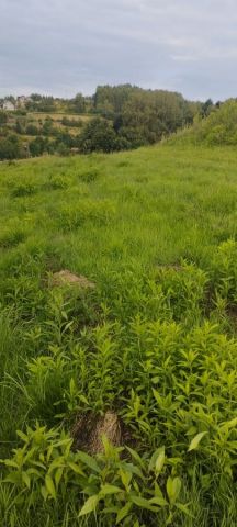 Działka budowlana Nowy Sącz, ul. Ziołowa. Zdjęcie 1