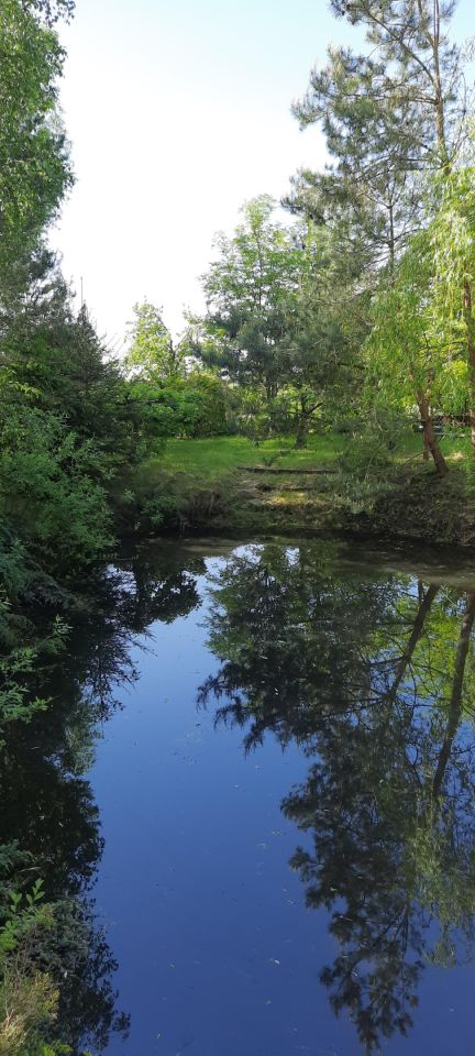 gospodarstwo, 6 pokoi Kopy. Zdjęcie 5