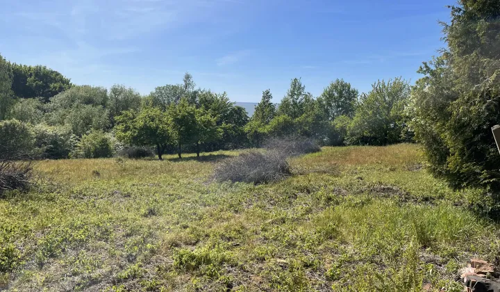 Działka rolno-budowlana Tolkmicko, ul. Morska