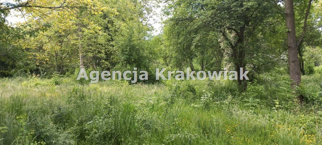 Działka inwestycyjna Kraków, ul. Królowej Jadwigi. Zdjęcie 3