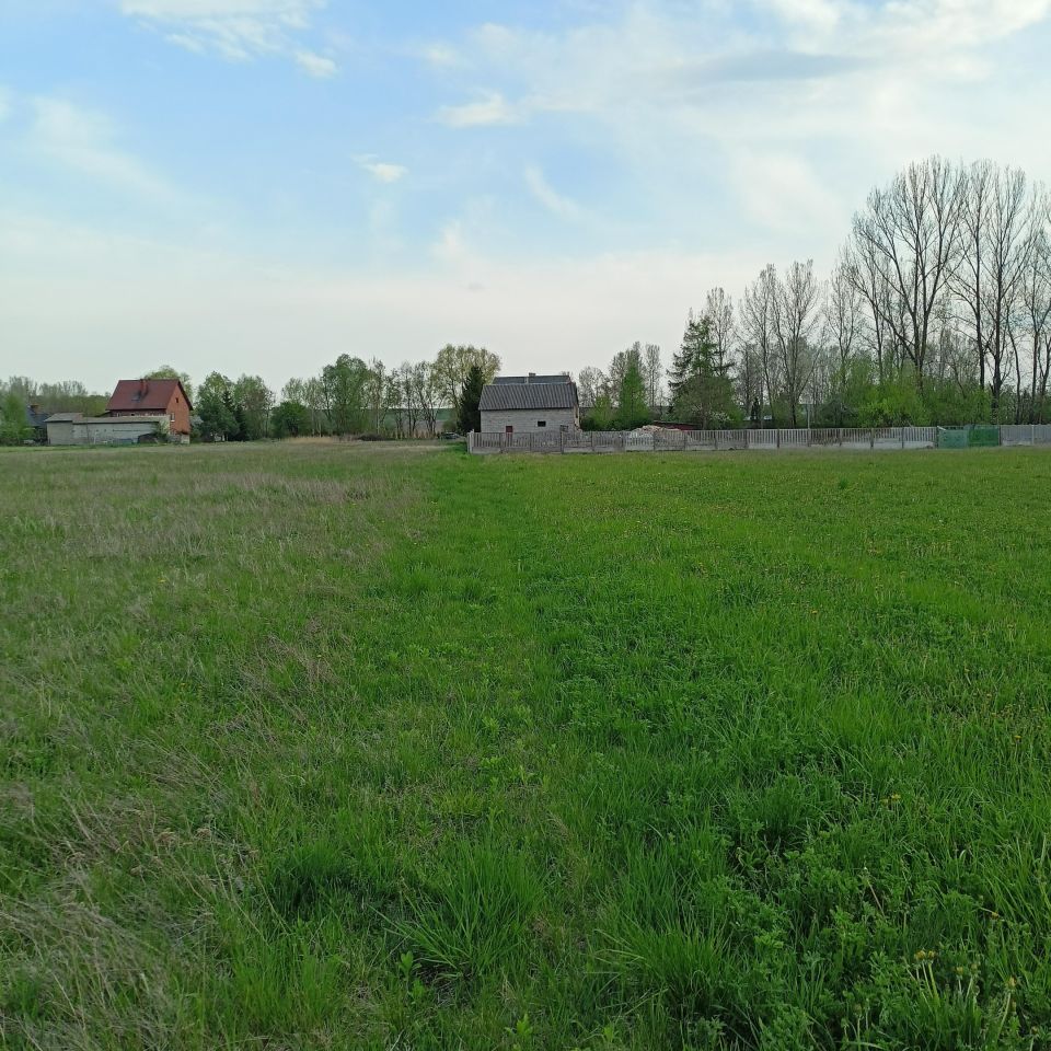 Działka rolno-budowlana Pasturka Krzywda