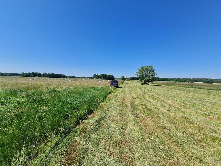 Działka rolna Stok Ruski. Zdjęcie 5