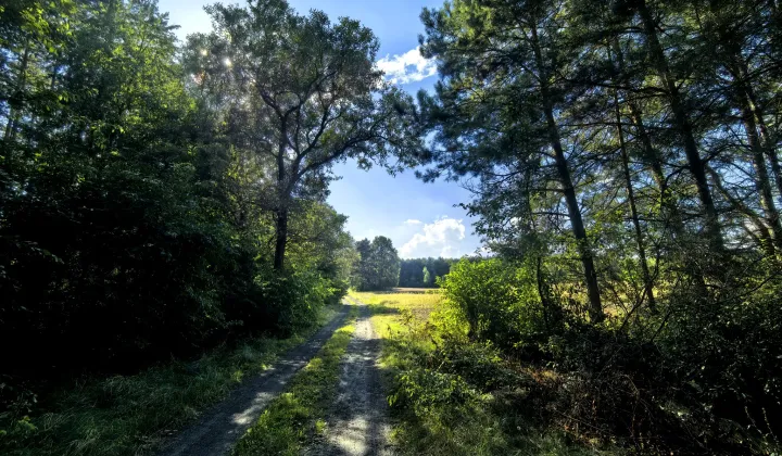 Działka budowlana Klizin