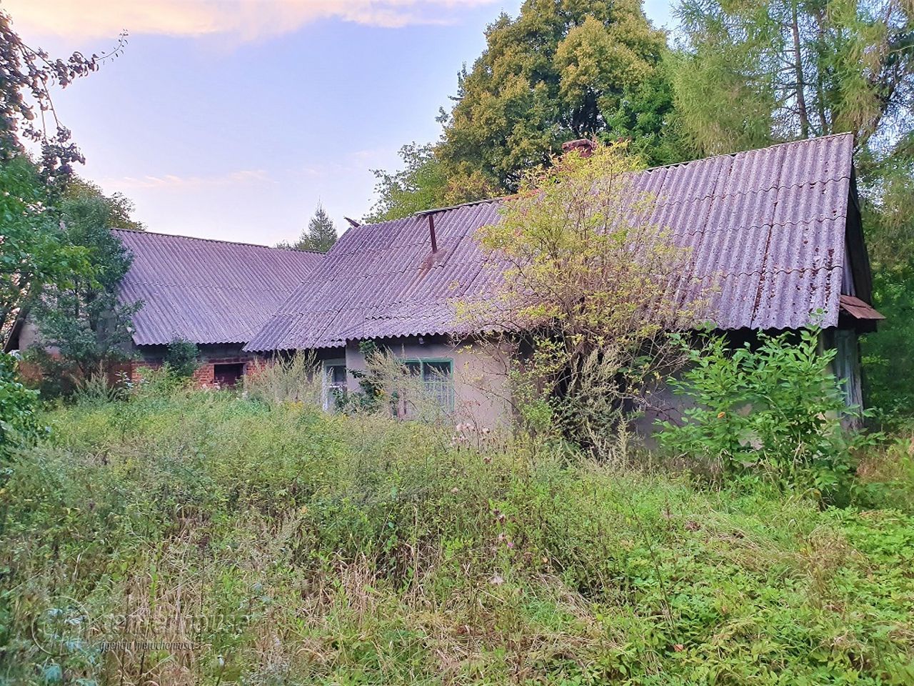 Działka siedliskowa Borek Stary. Zdjęcie 1