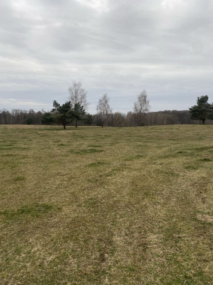 Działka rolno-budowlana Zagozd. Zdjęcie 7