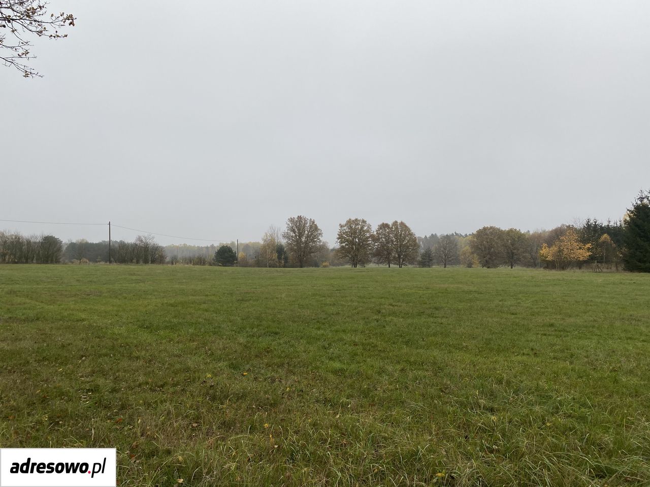 Działka budowlana Mosina. Zdjęcie 10