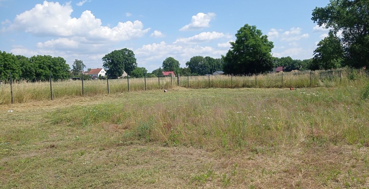 Działka budowlana Niedźwiedzice. Zdjęcie 4