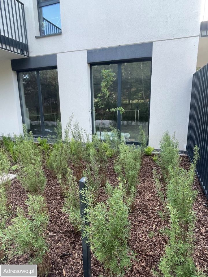 Lokal Łódź Polesie, ul. Rąbieńska. Zdjęcie 4