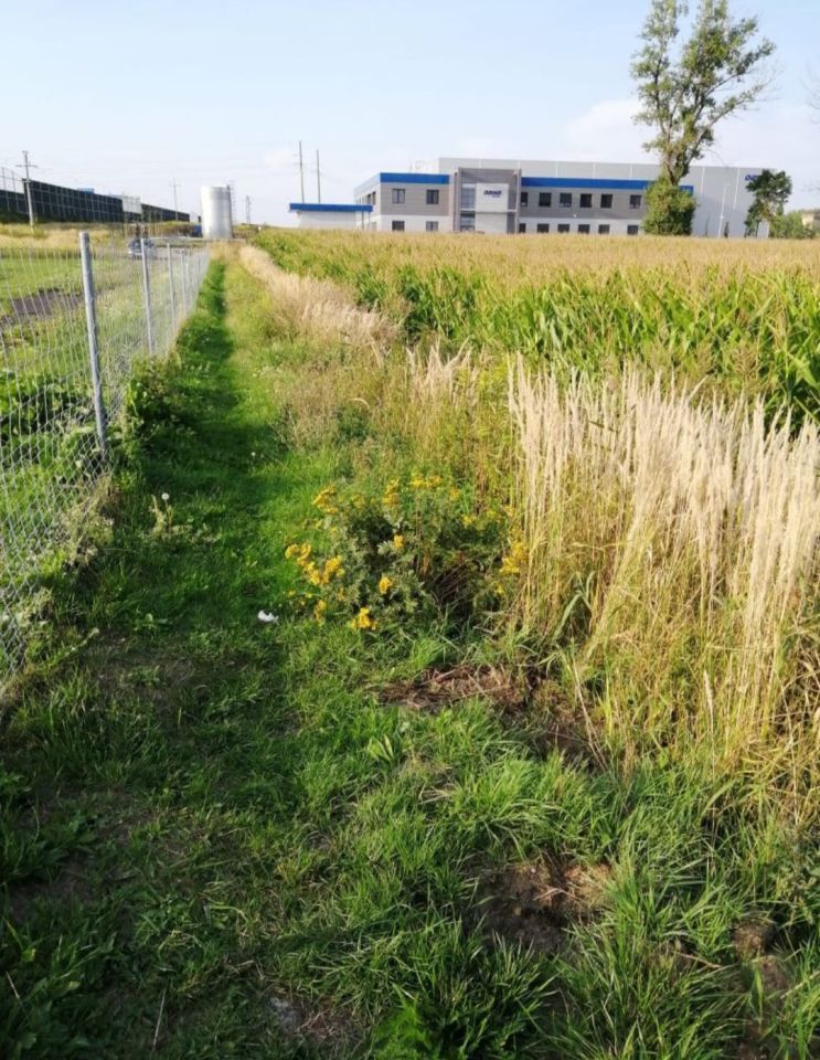 Działka rolna Gliwice Bojków, ul. Rolników. Zdjęcie 6