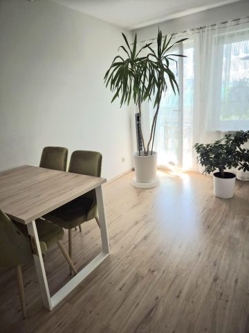 Mieszkanie 2-pokojowe Poznań Grunwald, ul. Promienista. Zdjęcie 3