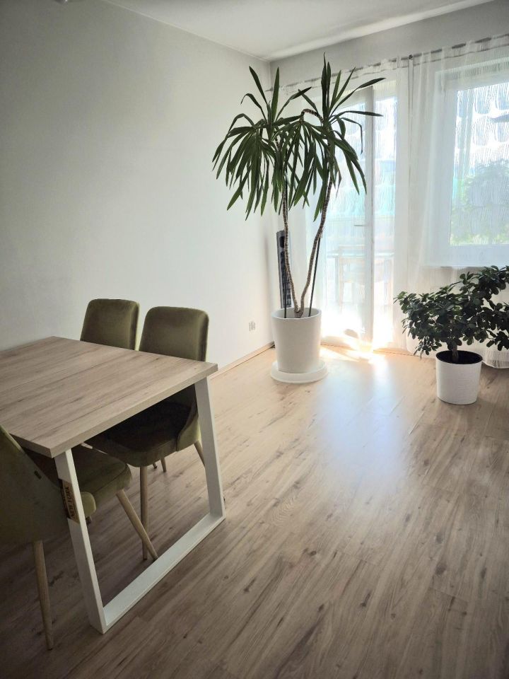 Mieszkanie 2-pokojowe Poznań Grunwald, ul. Promienista. Zdjęcie 3