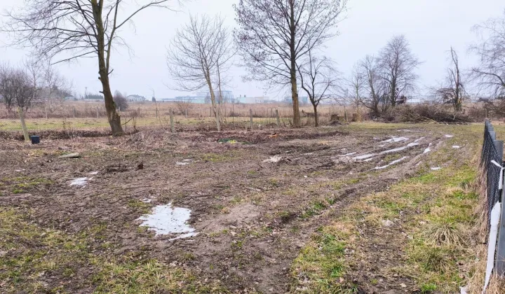 Działka rod Stęszew