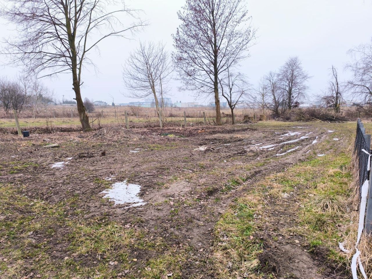 Działka rod Stęszew