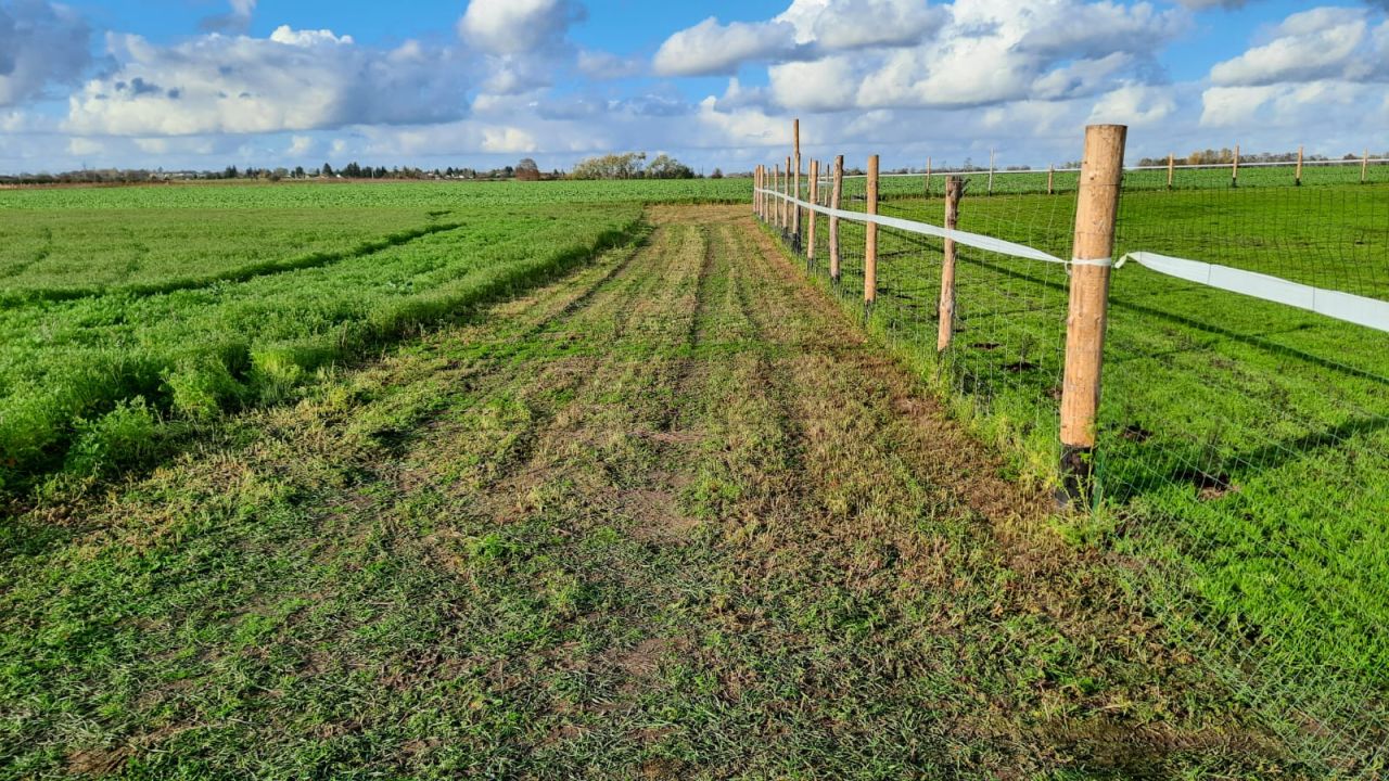 Działka budowlana Strachocin. Zdjęcie 3