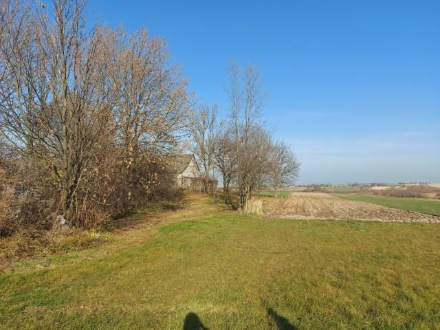 Działka rolna Wilgoszcza. Zdjęcie 1