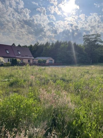 Działka budowlana Łabiszewo. Zdjęcie 1