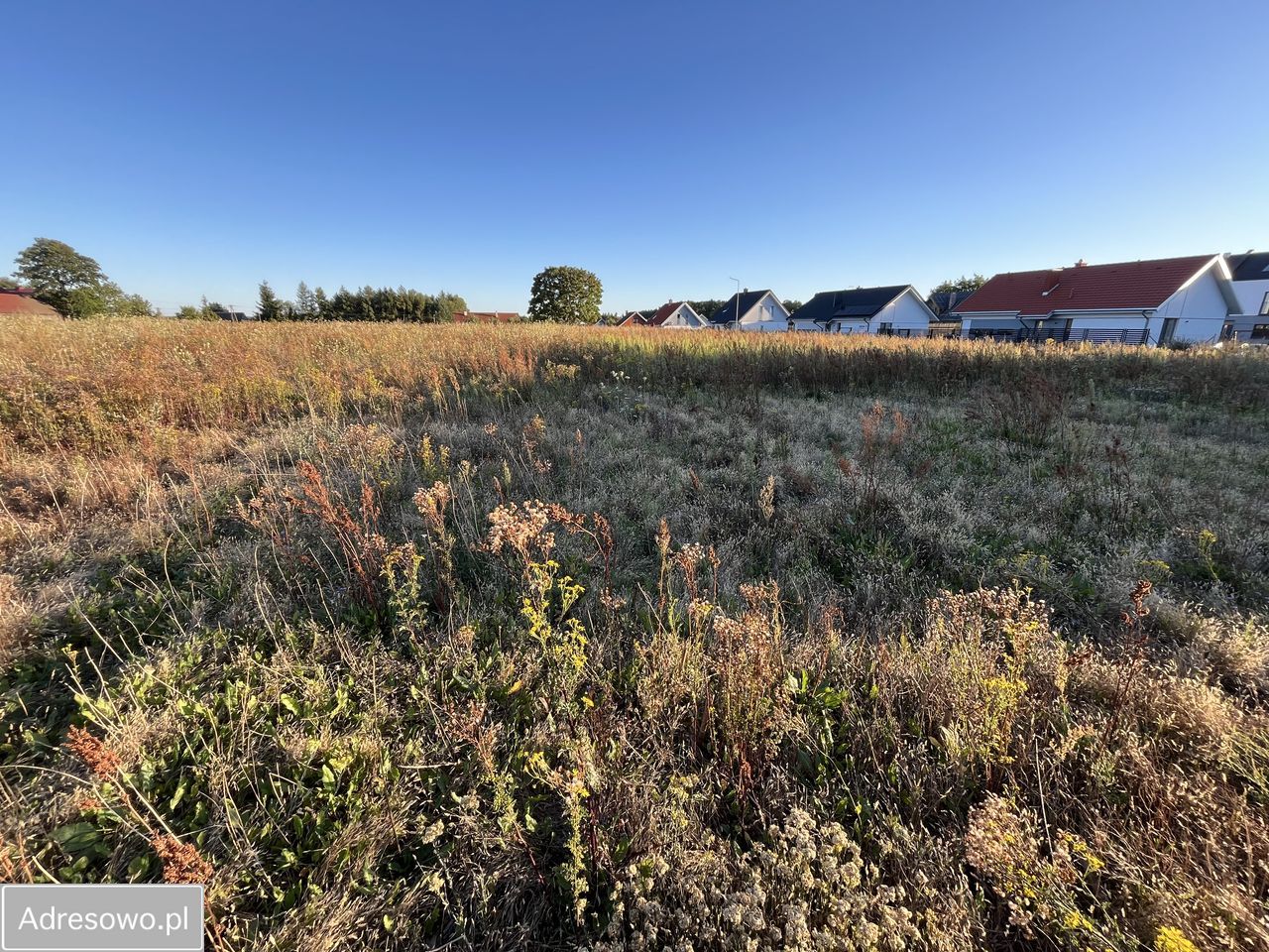 Działka rolno-budowlana Cekcyn Cekcynek. Zdjęcie 13