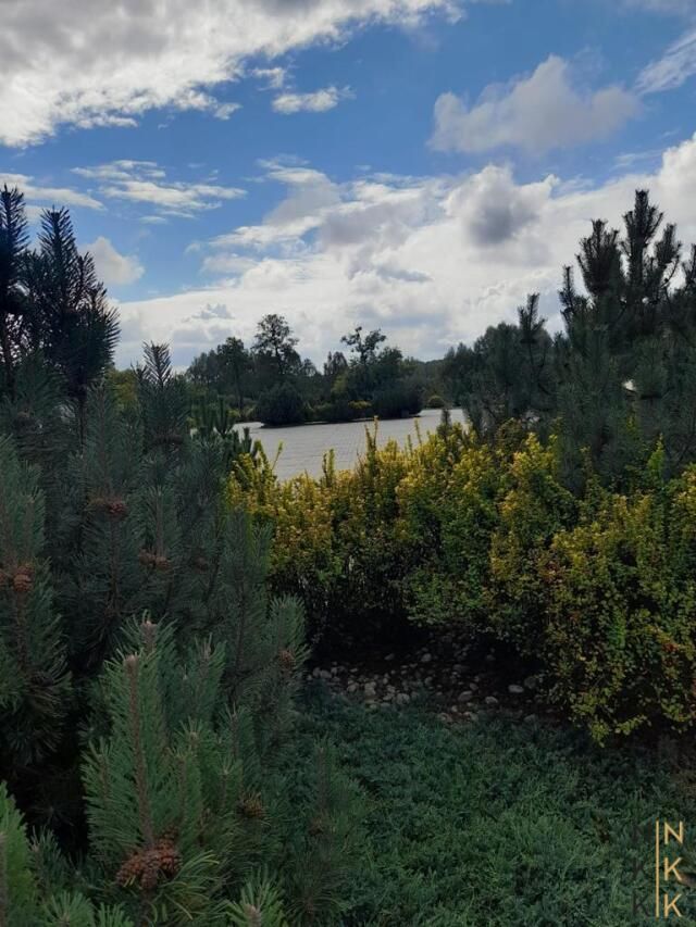 Lokal Błota. Zdjęcie 11