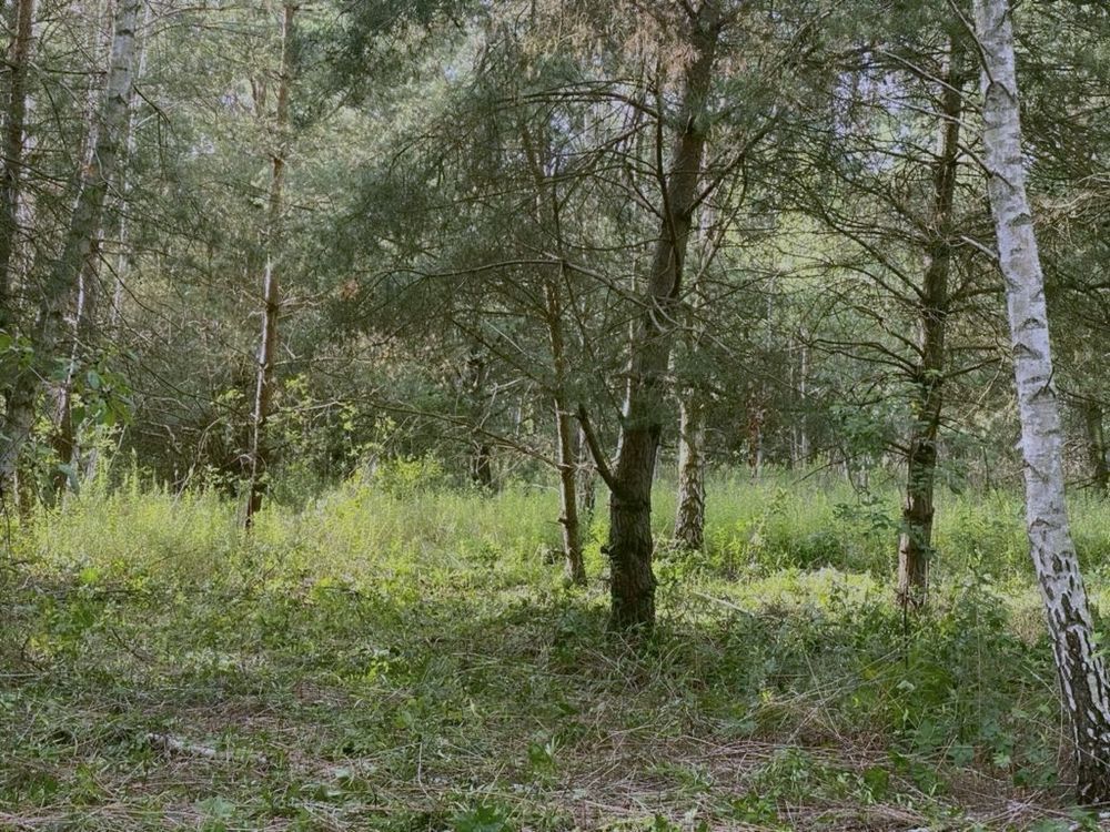Działka budowlana Uwieliny, ul. Spokojna. Zdjęcie 6