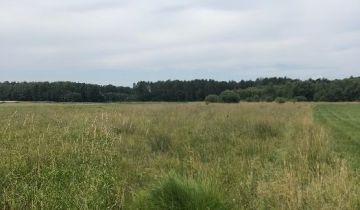 Działka rolna Jasień
