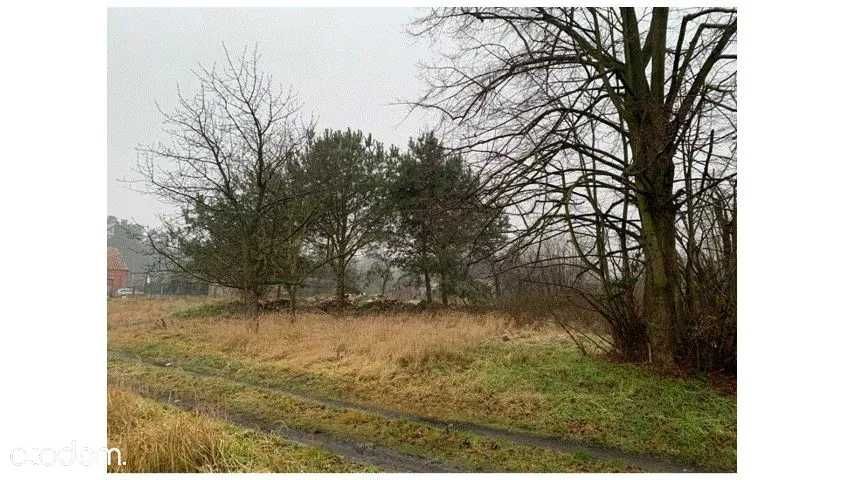 Działka budowlana Domaniew. Zdjęcie 2