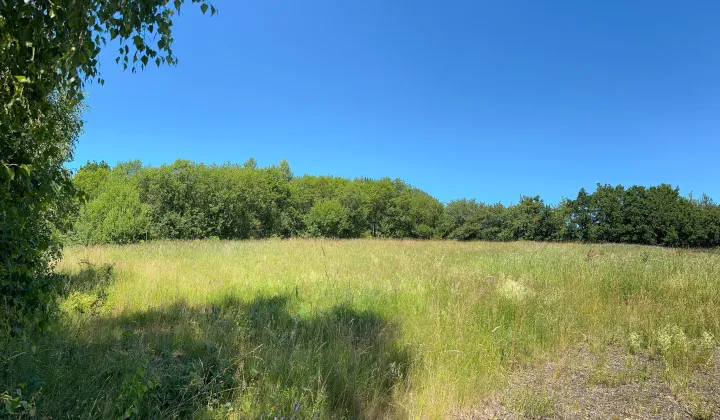 Działka budowlana Włodowice