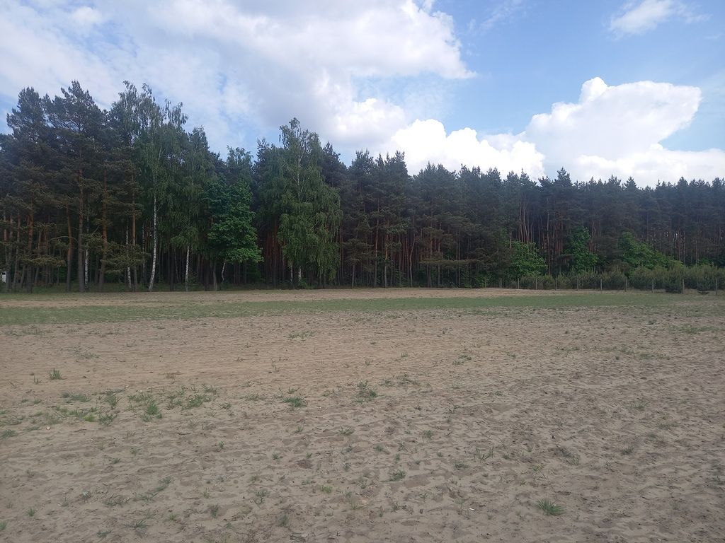 Działka inwestycyjna Wręcza. Zdjęcie 11