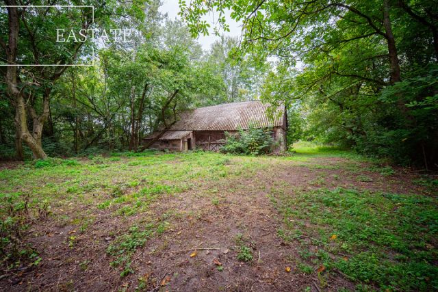 Działka budowlana Gągolin Północny. Zdjęcie 6