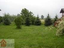 Działka rolno-budowlana Rusocice. Zdjęcie 4