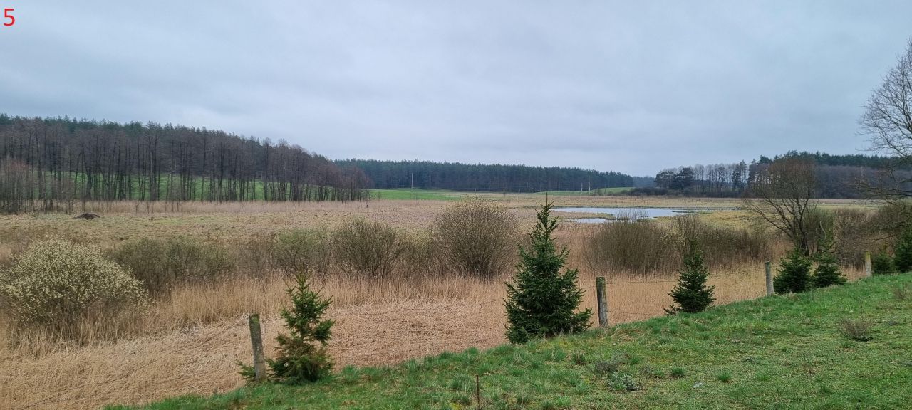 Działka rolna Piecki Piersławek. Zdjęcie 4