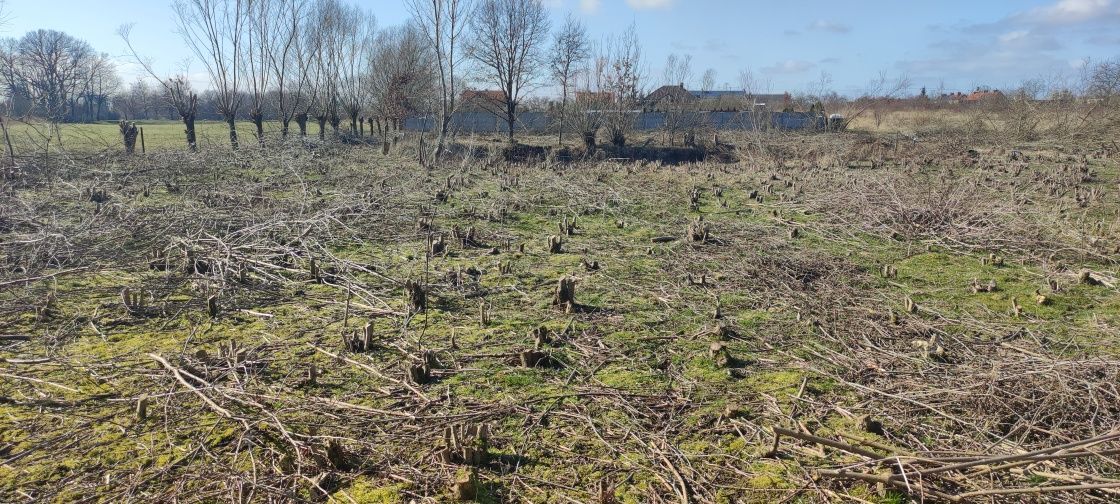 Działka budowlana Przybroda. Zdjęcie 6
