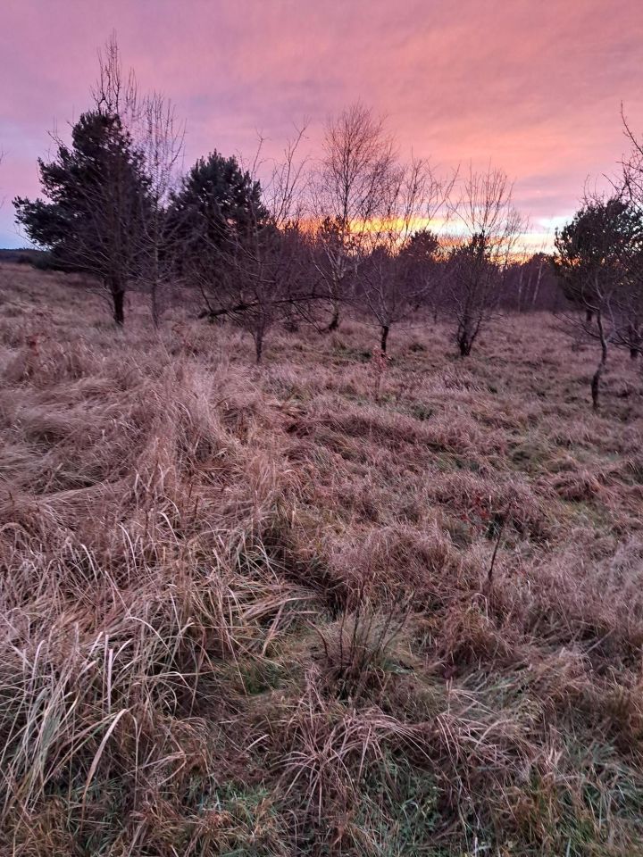 Działka budowlana Olbrachtów. Zdjęcie 6