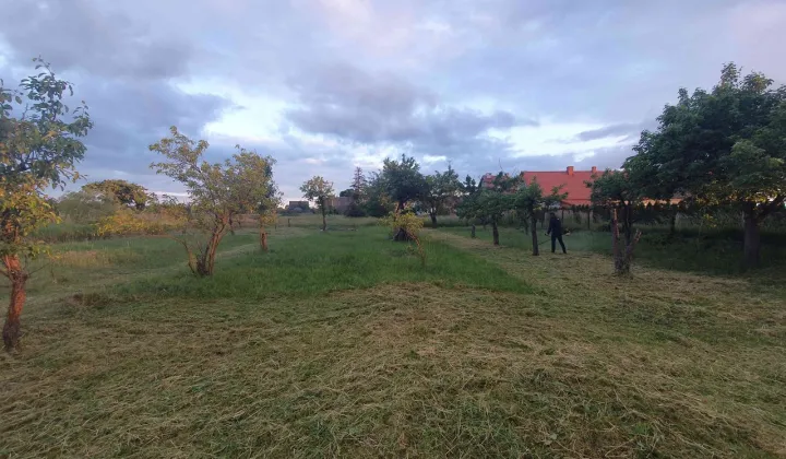 Działka budowlana Wilków