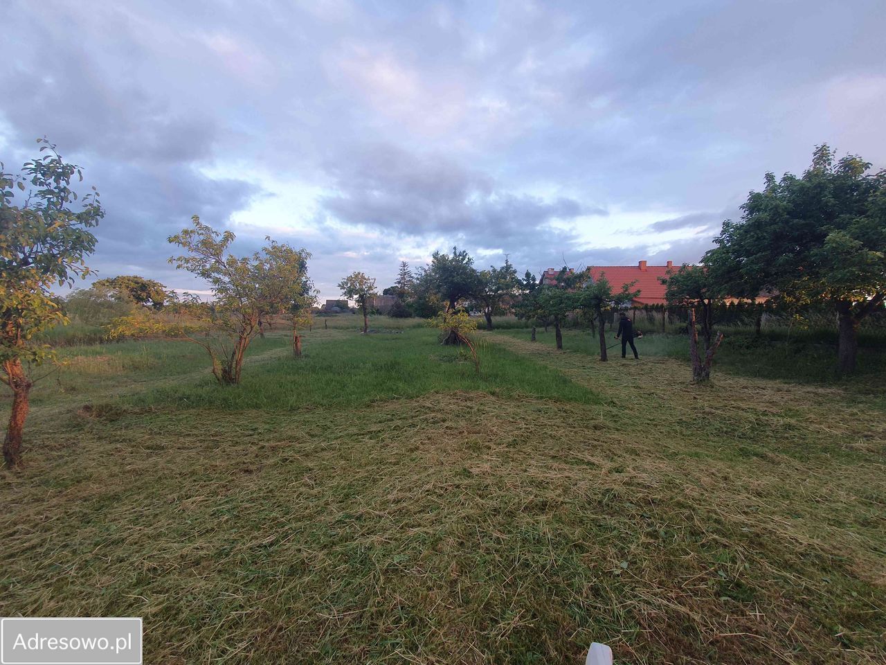 Działka budowlana Wilków