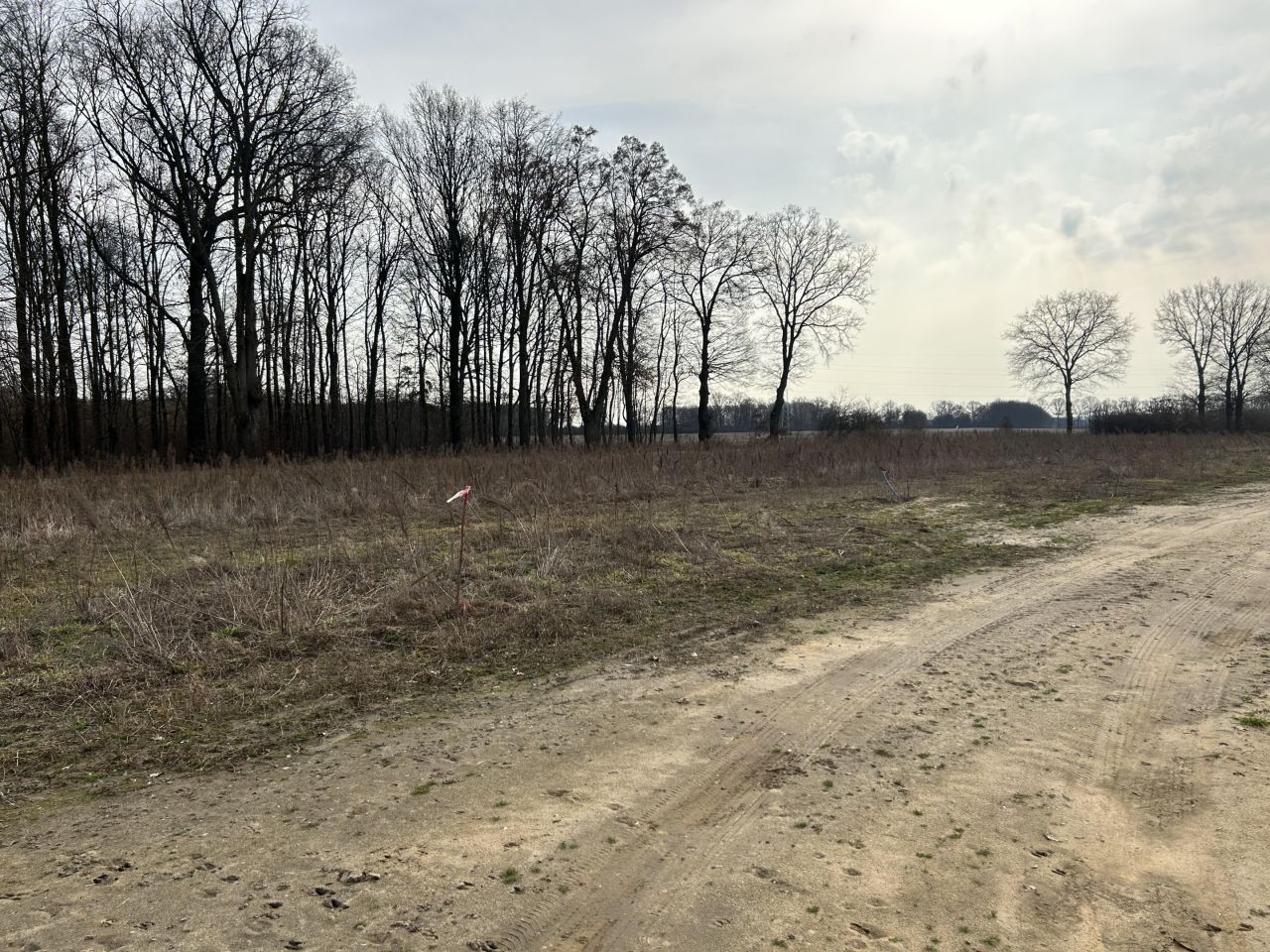 Działka budowlana Wichów. Zdjęcie 3