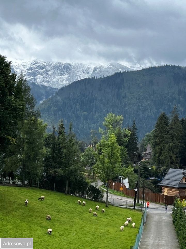 Mieszkanie 2-pokojowe Kościelisko, ul. Nędzy Kubińca. Zdjęcie 6