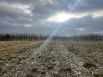 Działka rolna Glinki. Zdjęcie 1